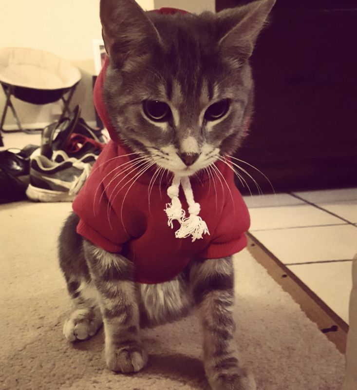 Daily Pictures. Part 2 (69 pics)