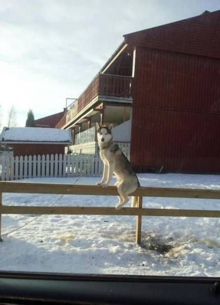 Daily Pictures. Part 1 (70 pics)