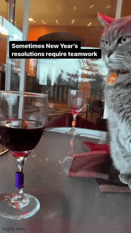 Acid GIFs, November 17 (25 gifs) Acid GIFs, November 17 (25 gifs)