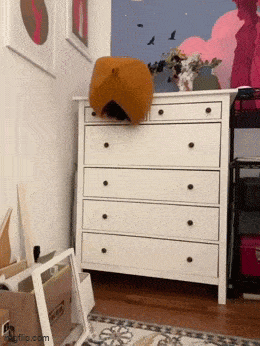 Acid GIFs, November 17 (25 gifs) Acid GIFs, November 17 (25 gifs)