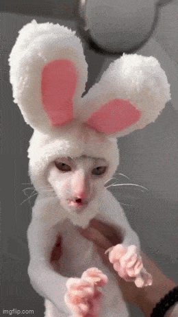 Acid GIFs, November 17 (25 gifs) Acid GIFs, November 17 (25 gifs)