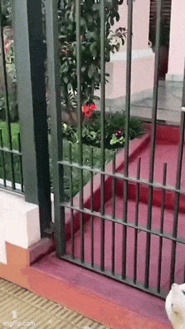 Acid GIFs, November 17 (25 gifs) Acid GIFs, November 17 (25 gifs)