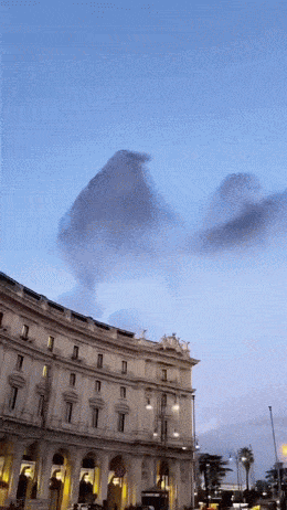 Acid GIFs, November 17 (25 gifs) Acid GIFs, November 17 (25 gifs)