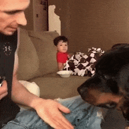 Acid GIFs, November 17 (25 gifs) Acid GIFs, November 17 (25 gifs)