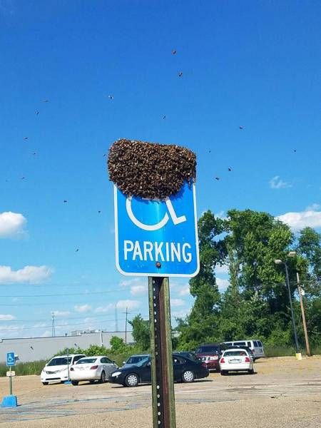 Daily Pictures. Part 1 (64 pics) Daily Pictures. Part 1 (64 pics)