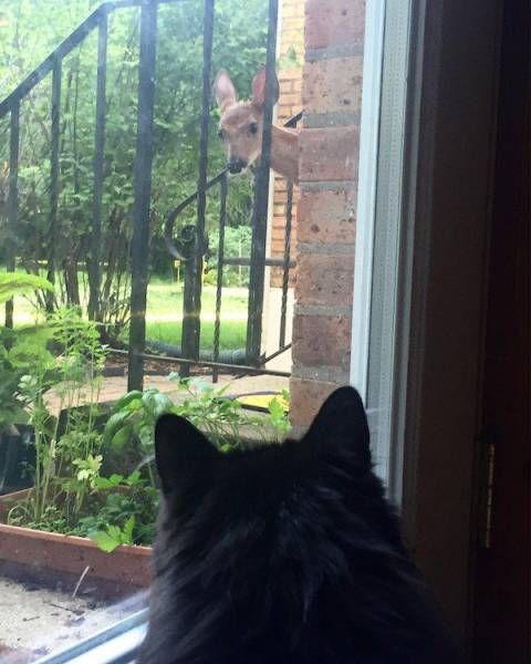 Daily Pictures. Part 1 (64 pics) Daily Pictures. Part 1 (64 pics)