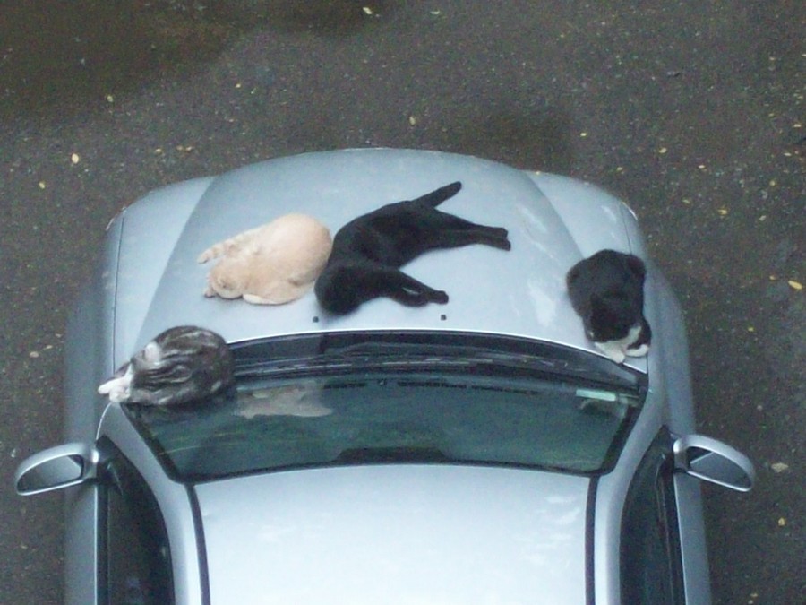 Daily Pictures. Part 1 (64 pics) Daily Pictures. Part 1 (64 pics)