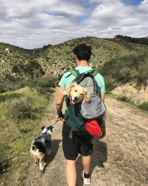 Daily Pictures. Part 2 (63 pics)