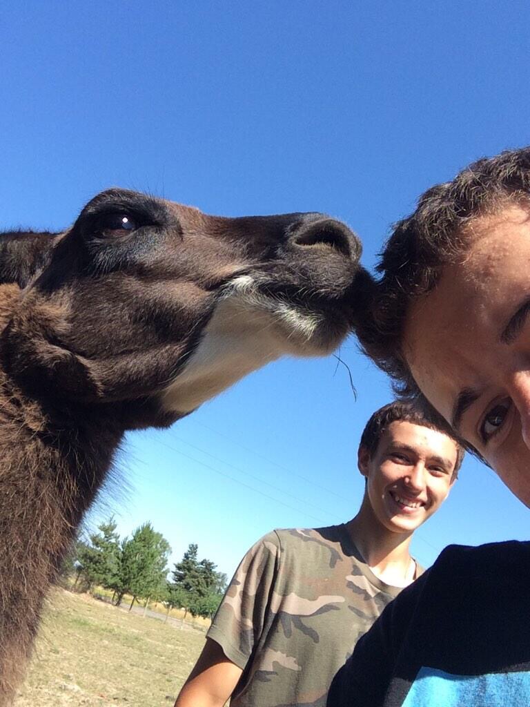 Daily Pictures. Part 2 (63 pics)