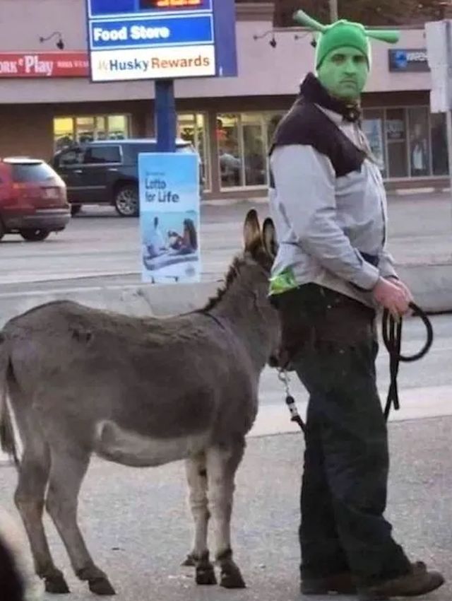 Daily Pictures. Part 2 (63 pics)