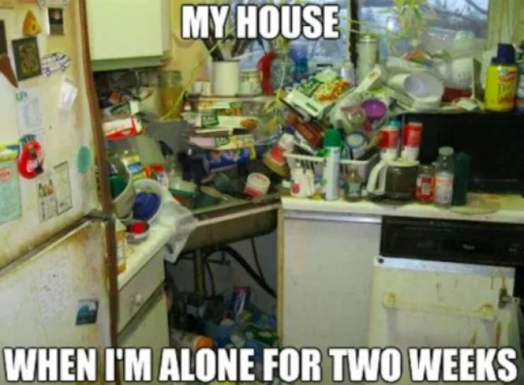 Daily Pictures. Part 2 (63 pics)