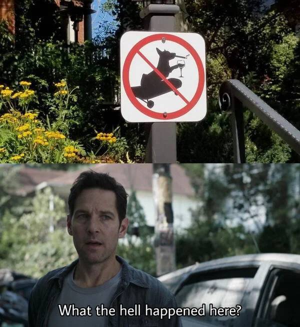 Daily Pictures. Part 2 (63 pics)