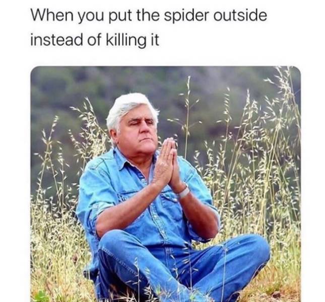 Daily Pictures. Part 2 (63 pics)