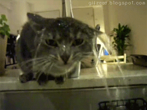 Acid GIFs, November 18 (25 gifs) Acid GIFs, November 18 (25 gifs)