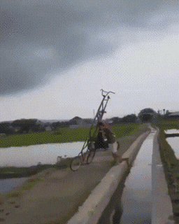 Acid GIFs, November 18 (25 gifs) Acid GIFs, November 18 (25 gifs)