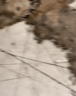 Acid GIFs, November 18 (25 gifs) Acid GIFs, November 18 (25 gifs)