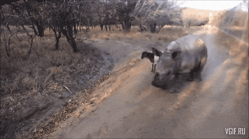 Acid GIFs, November 18 (25 gifs) Acid GIFs, November 18 (25 gifs)