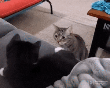 Acid GIFs, November 18 (25 gifs) Acid GIFs, November 18 (25 gifs)