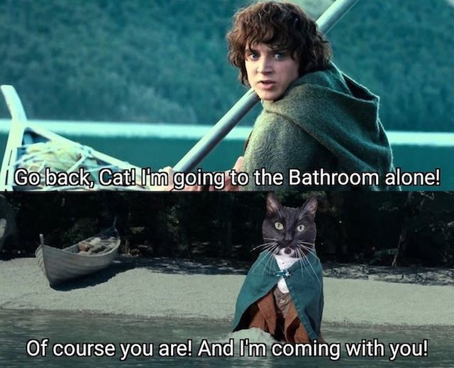 Movie Memes (42 pics)