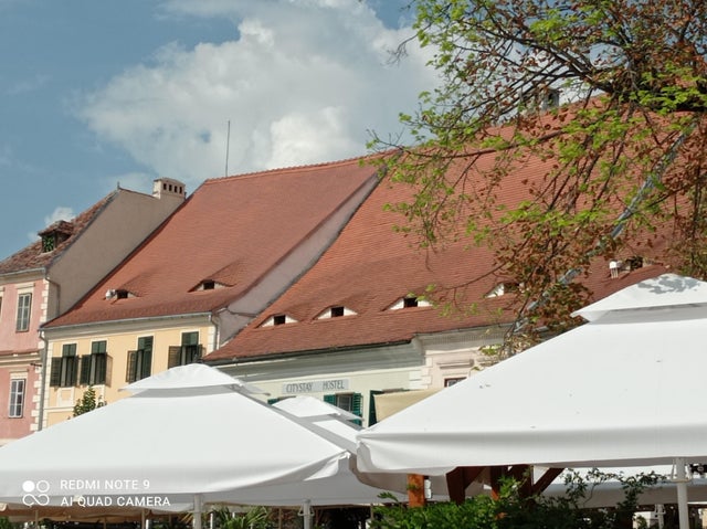 This Is Pareidolia (22 pics)