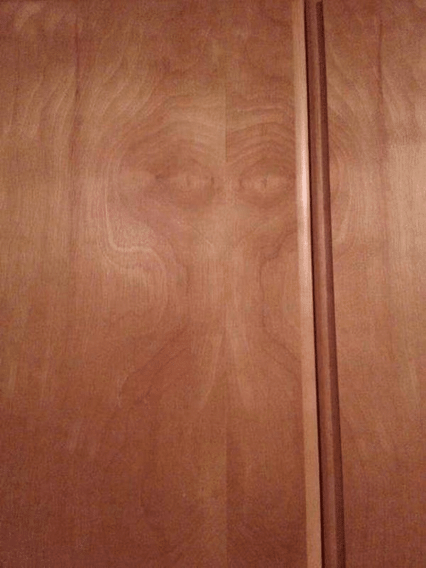 This Is Pareidolia (22 pics)