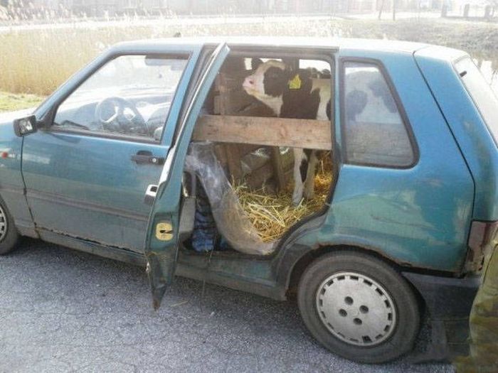 Redneck Inventions And Repairs (37 pics)