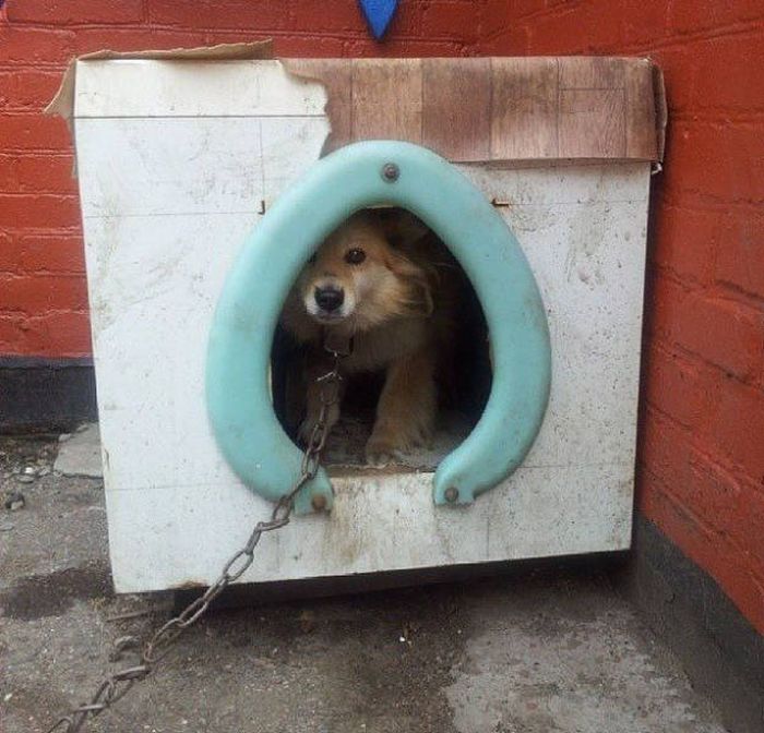 Redneck Inventions And Repairs (37 pics)