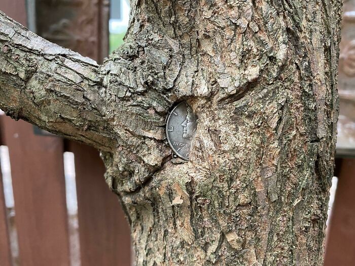 Time Changes Everything (25 pics)