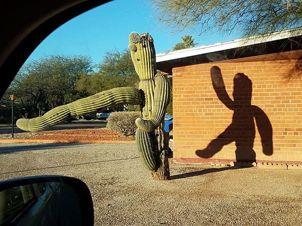Unusual Shadows (20 pics)