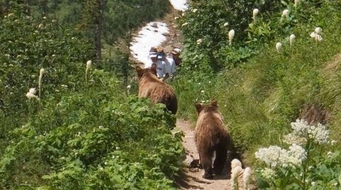 Daily Pictures. Part 1 (66 pics) Daily Pictures. Part 1 (66 pics)