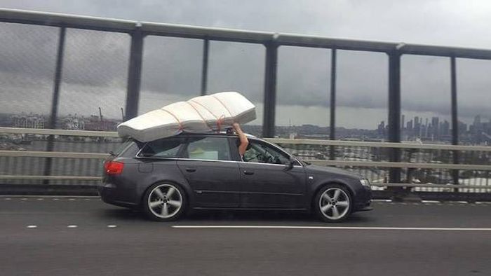 Daily Pictures. Part 1 (66 pics) Daily Pictures. Part 1 (66 pics)