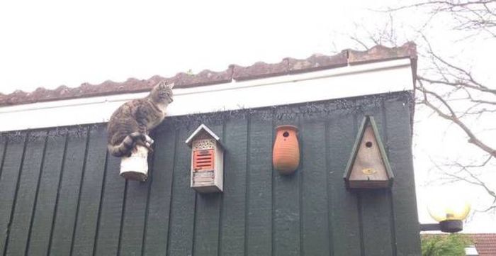 Daily Pictures. Part 1 (66 pics) Daily Pictures. Part 1 (66 pics)