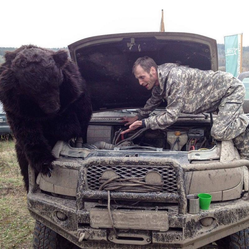 Daily Pictures. Part 1 (66 pics) Daily Pictures. Part 1 (66 pics)