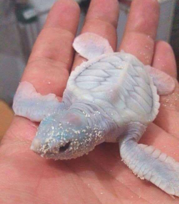 Daily Pictures. Part 1 (66 pics) Daily Pictures. Part 1 (66 pics)