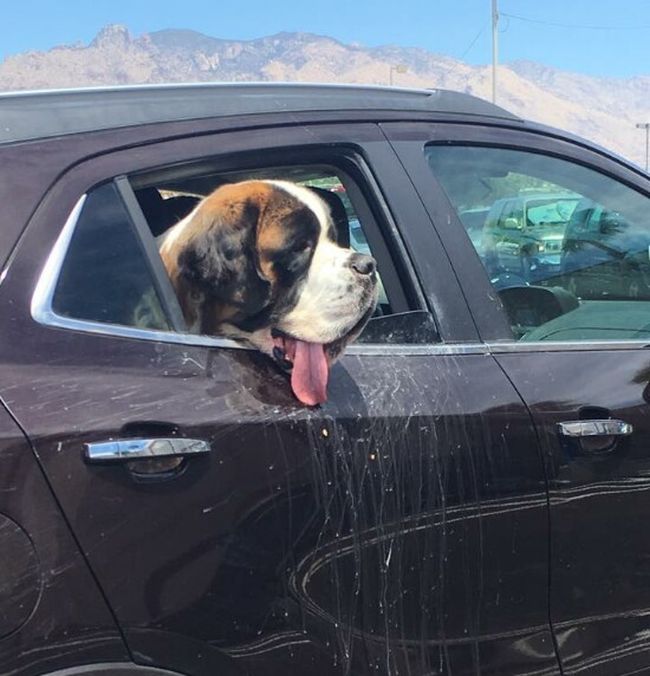 Daily Pictures. Part 1 (66 pics) Daily Pictures. Part 1 (66 pics)