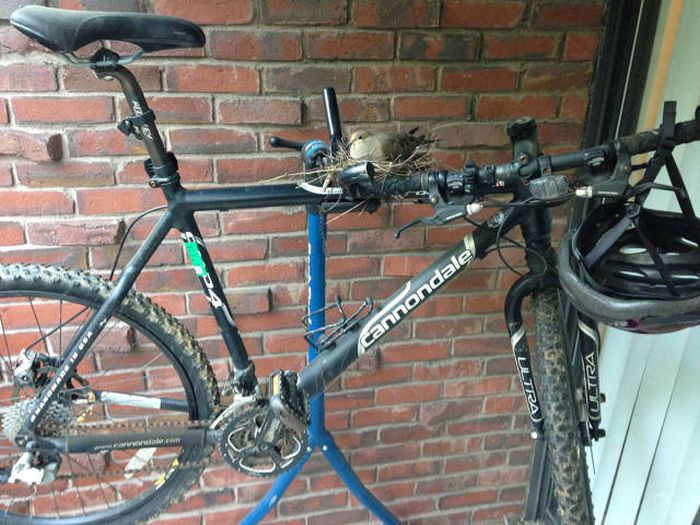 Daily Pictures. Part 1 (66 pics) Daily Pictures. Part 1 (66 pics)