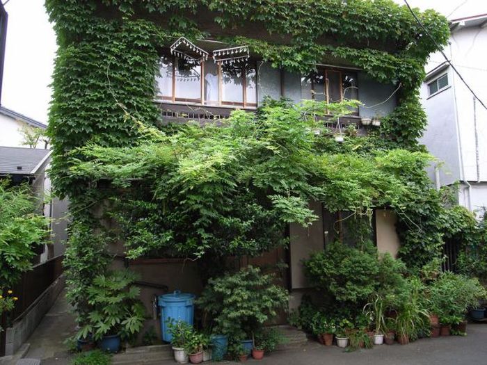 Daily Pictures. Part 1 (66 pics) Daily Pictures. Part 1 (66 pics)