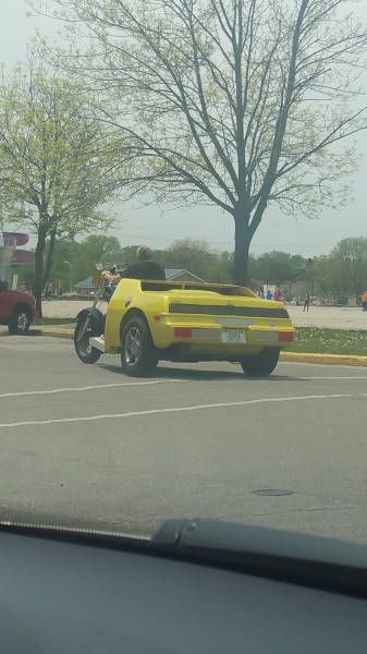 Daily Pictures. Part 1 (66 pics) Daily Pictures. Part 1 (66 pics)