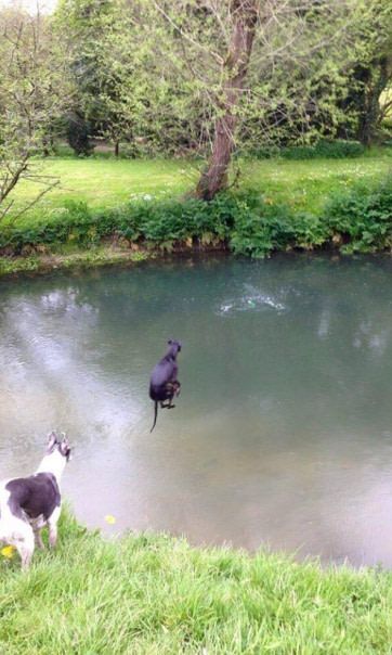 Daily Pictures. Part 1 (66 pics) Daily Pictures. Part 1 (66 pics)