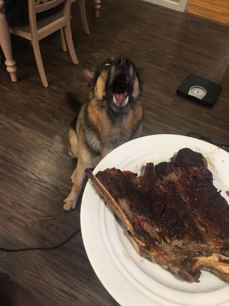 Daily Pictures. Part 1 (66 pics) Daily Pictures. Part 1 (66 pics)