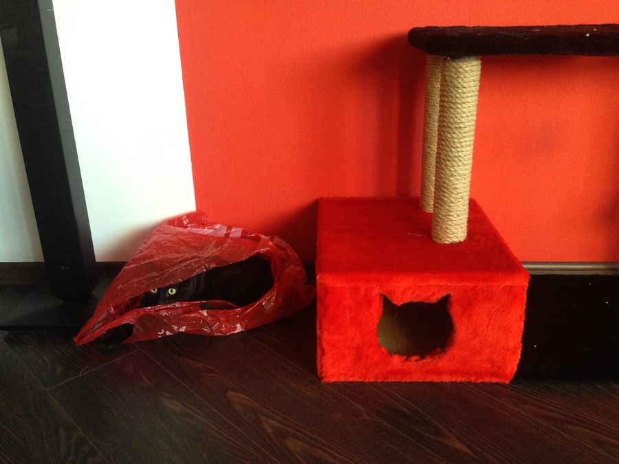 Daily Pictures. Part 2 (65 pics) Daily Pictures. Part 2 (65 pics)