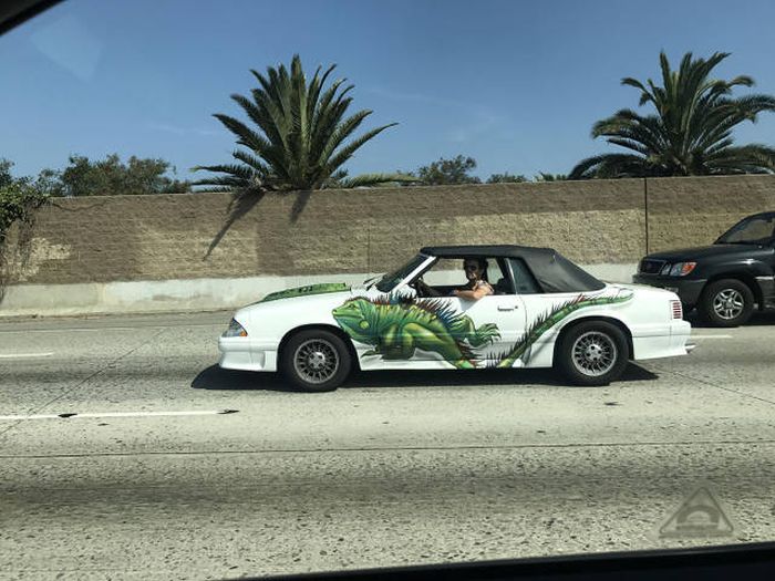 Daily Pictures. Part 1 (66 pics) Daily Pictures. Part 1 (66 pics)