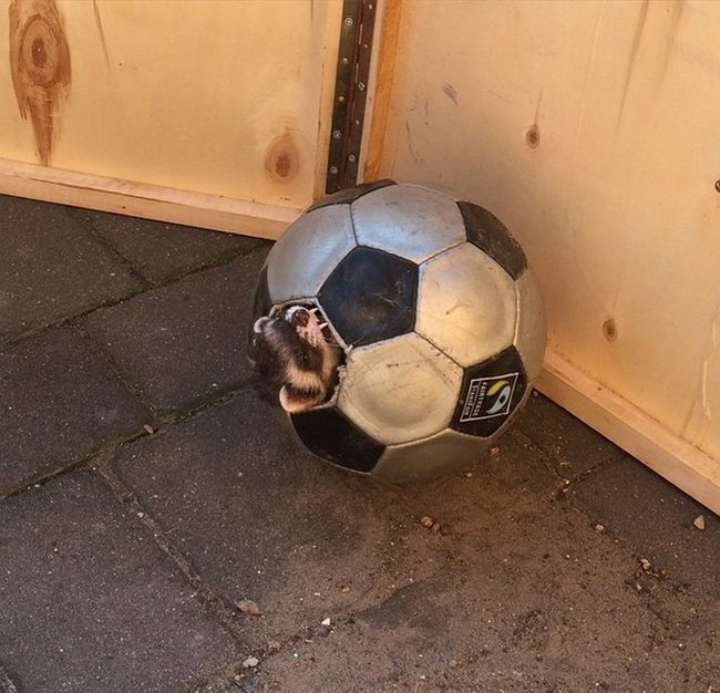 Daily Pictures. Part 1 (66 pics) Daily Pictures. Part 1 (66 pics)