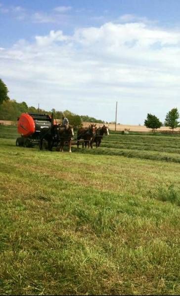 Daily Pictures. Part 1 (66 pics) Daily Pictures. Part 1 (66 pics)