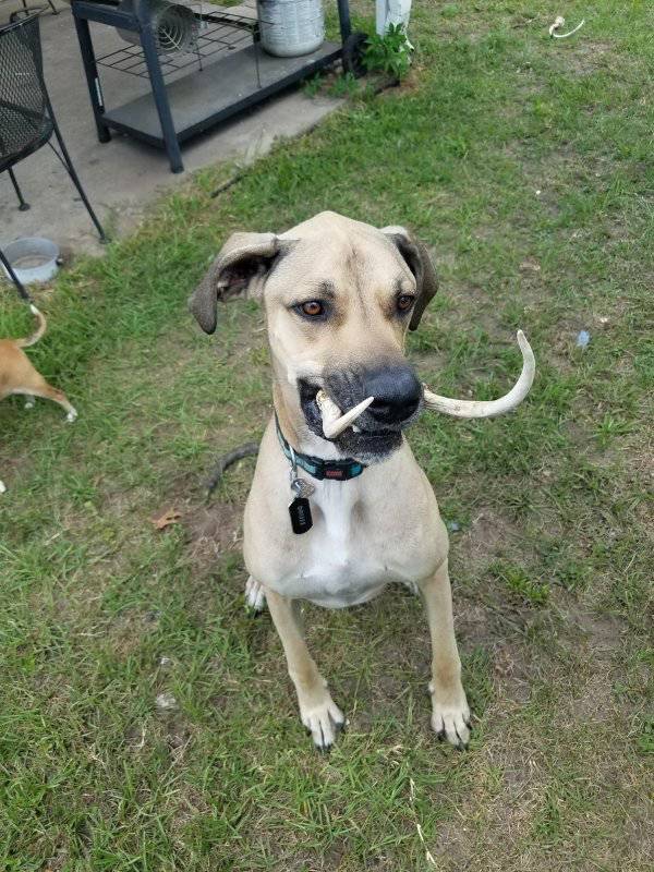 Daily Pictures. Part 2 (65 pics) Daily Pictures. Part 2 (65 pics)