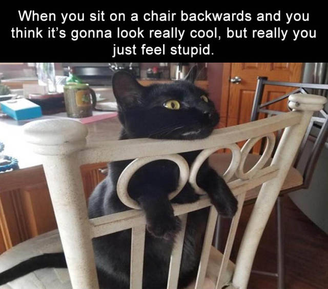 Daily Pictures. Part 2 (65 pics) Daily Pictures. Part 2 (65 pics)