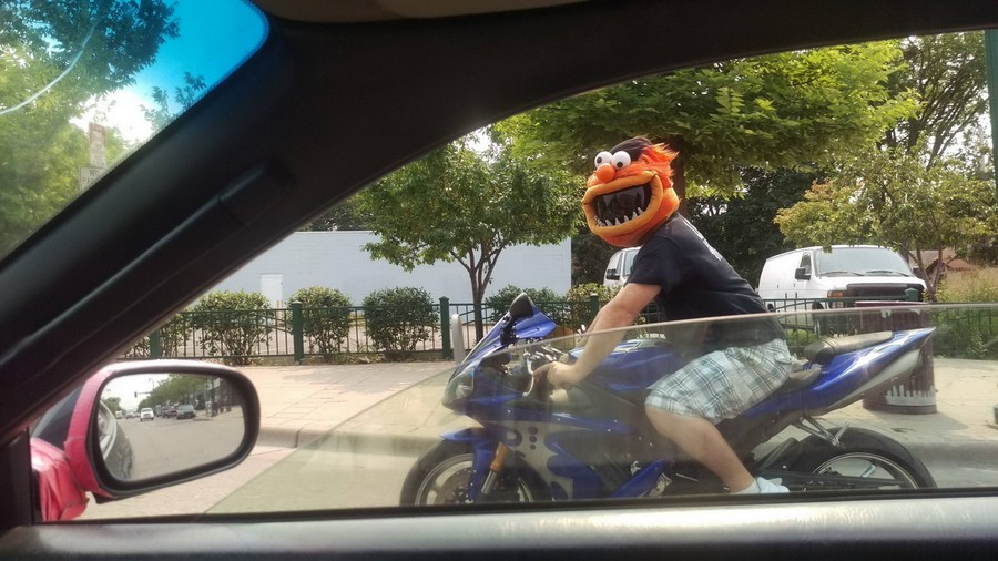 Daily Pictures. Part 2 (65 pics) Daily Pictures. Part 2 (65 pics)