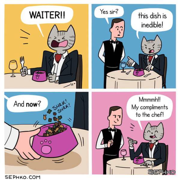 Daily Pictures. Part 2 (65 pics) Daily Pictures. Part 2 (65 pics)