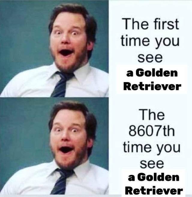 Daily Pictures. Part 2 (65 pics) Daily Pictures. Part 2 (65 pics)