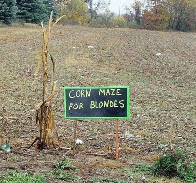 Daily Pictures. Part 2 (65 pics) Daily Pictures. Part 2 (65 pics)